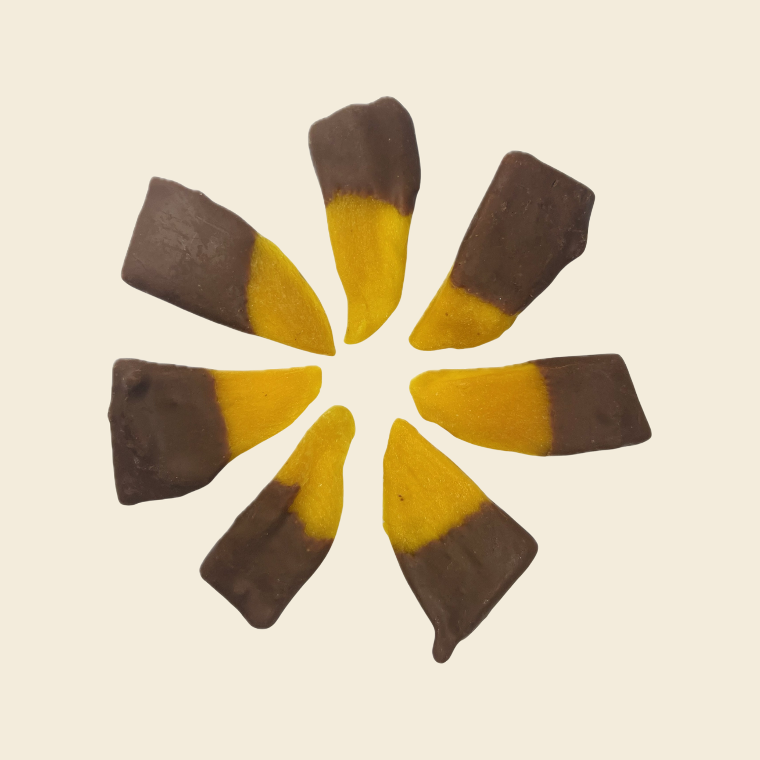 Xoài sấy dẻo phủ socola đen