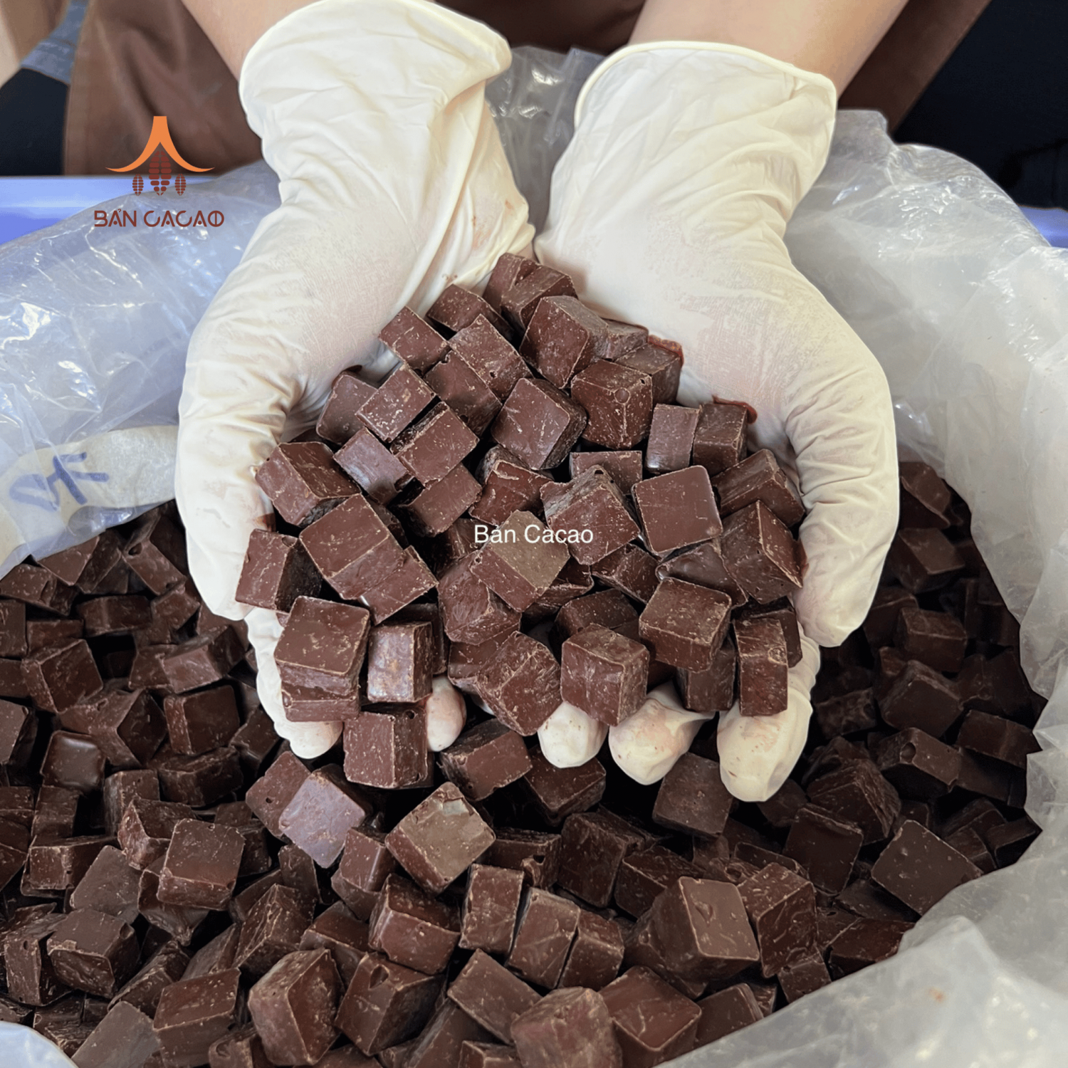 Viên socola đen Bản Cacao